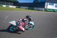 enduro-digital-images;event-digital-images;eventdigitalimages;mallory-park;mallory-park-photographs;mallory-park-trackday;mallory-park-trackday-photographs;no-limits-trackdays;peter-wileman-photography;racing-digital-images;trackday-digital-images;trackday-photos